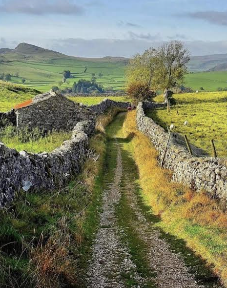 Åpent grønt landskap i Yorkshire Dales